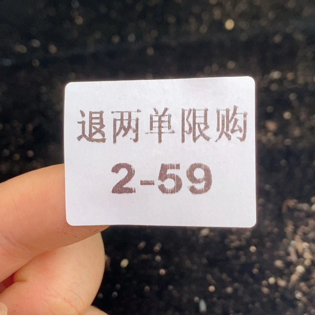 繁*2-59 琼脂50颗小