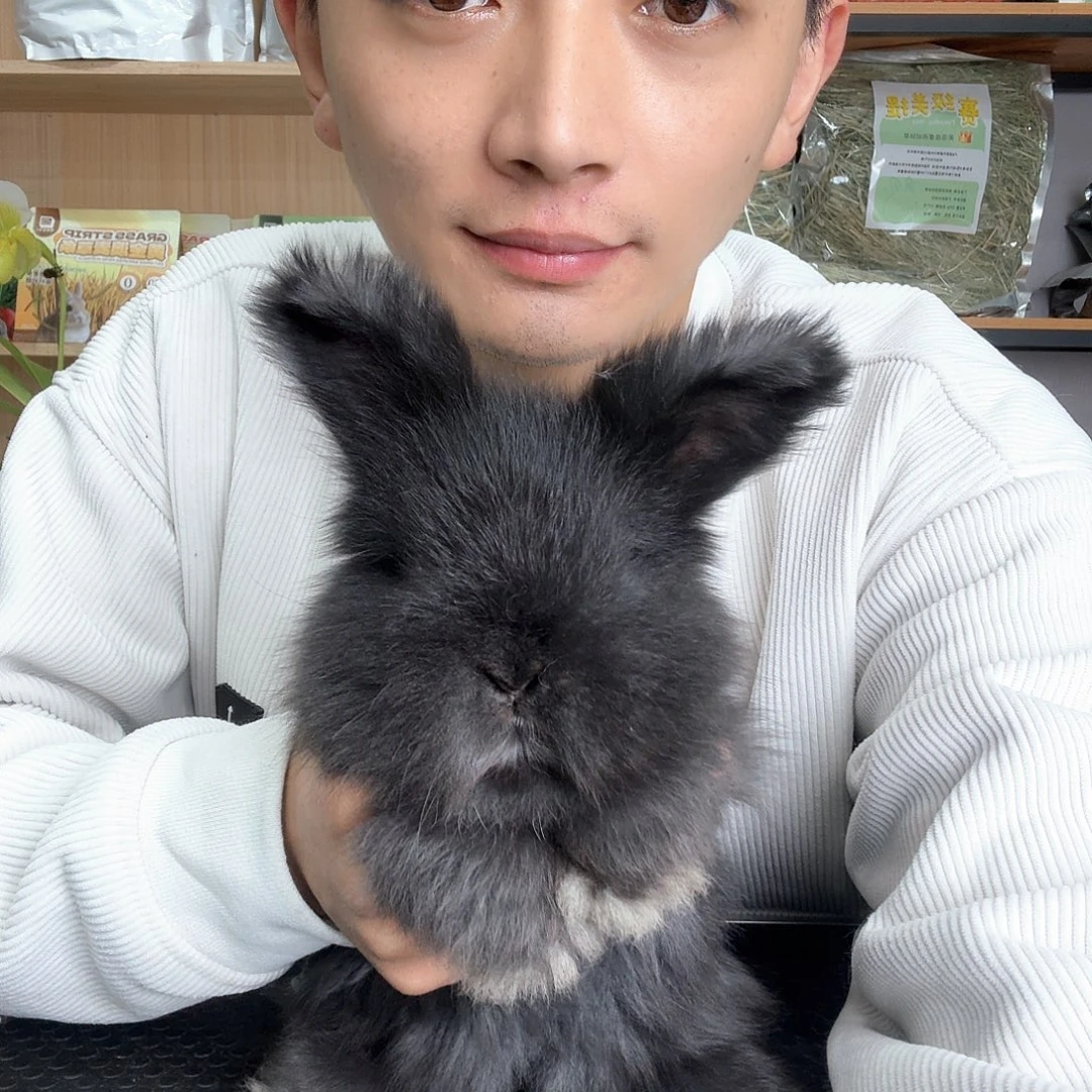 安哥拉熊脸 纯黑，妹妹，特惠7号