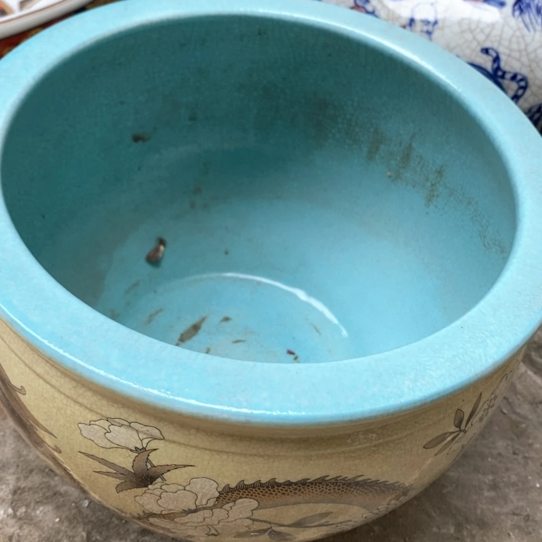 纯纯粹粹纯纯粹粹瓷