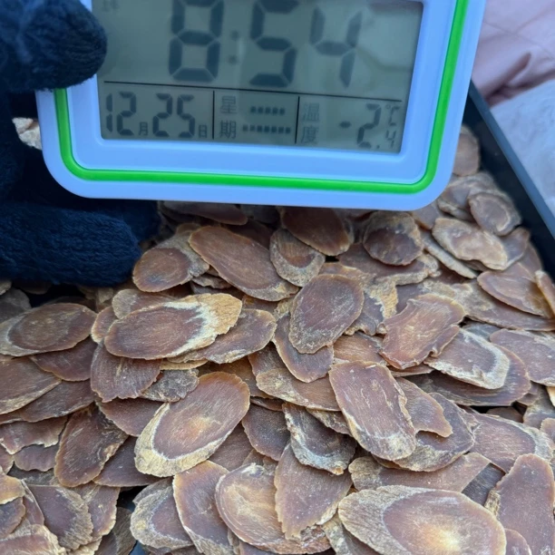 长白山滋补红参片.2