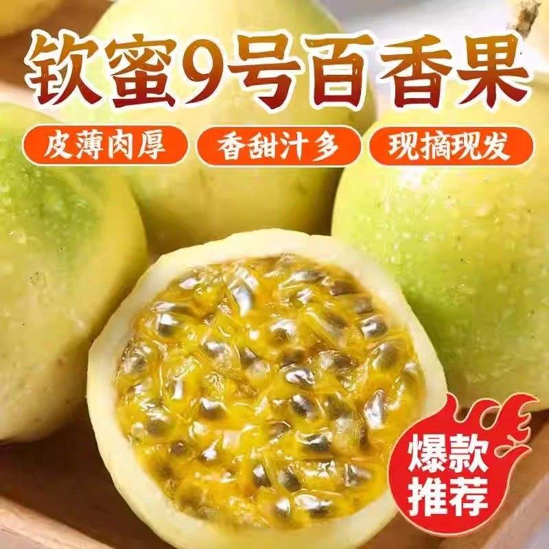 百香果熟果邹皮果当季钦蜜9号挖汁应季水果多仓发货
