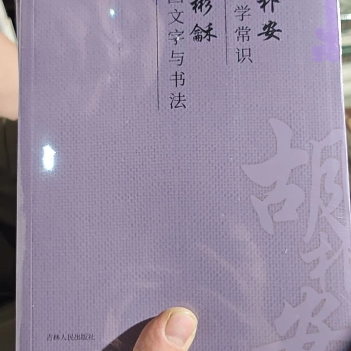 中国文字学与书法平装塑封