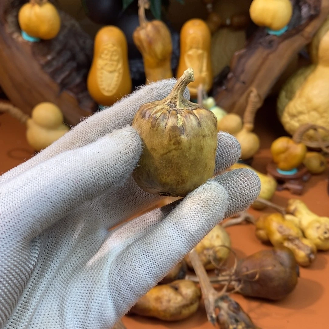 张***张哭了教练教练咯啊咯