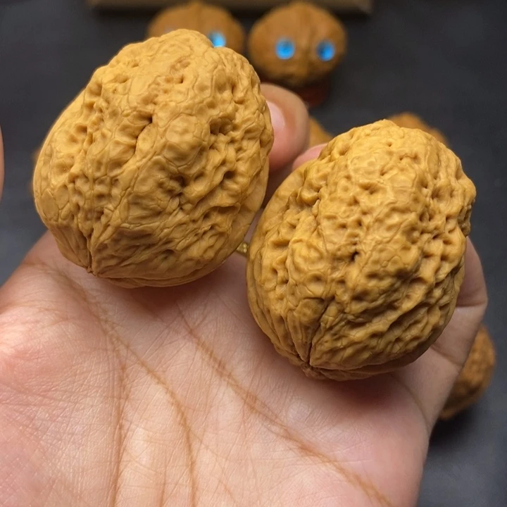 把件文玩核桃42尺脑纹金蟾