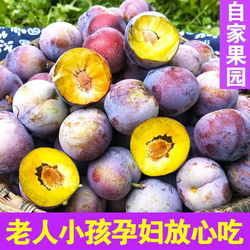 四川脆红李新鲜应季水果脆甜脱骨现摘现发