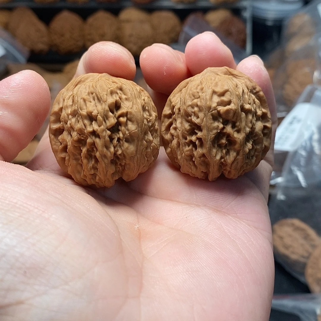 1文玩核桃龙王胆35-353