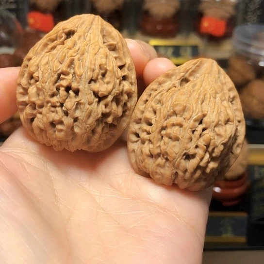 野生小众：座佛全品