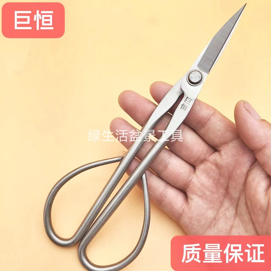 巨恒盆景专用工具叶芽剪不锈钢中号叶芽剪盆景修枝叶芽剪