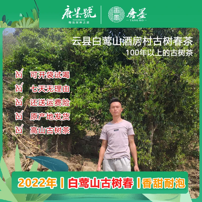 唐墨號 2022年云县白莺山 古树春茶散茶 云南普洱生茶(支持试喝)