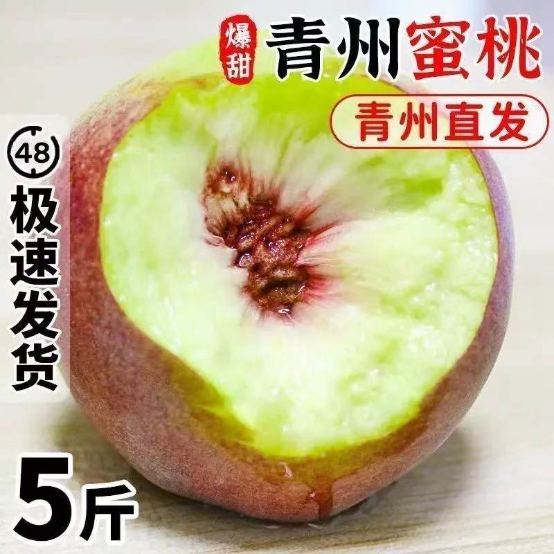 山东青州冬雪蜜桃脆甜工作离核应季新鲜水果现摘现发