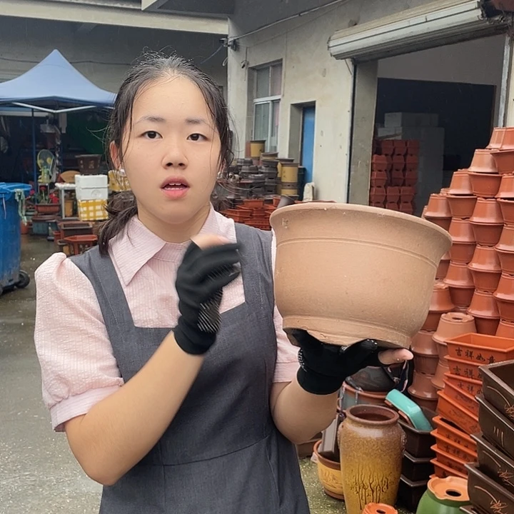 茶林小马花盆花盆花盆花盆