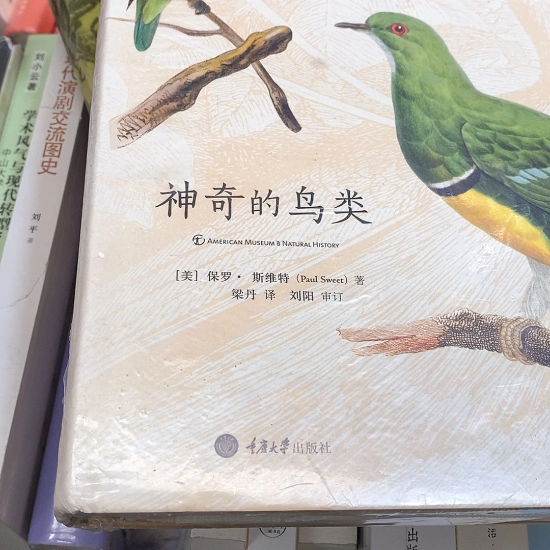 神奇的鸟类……………………锯口