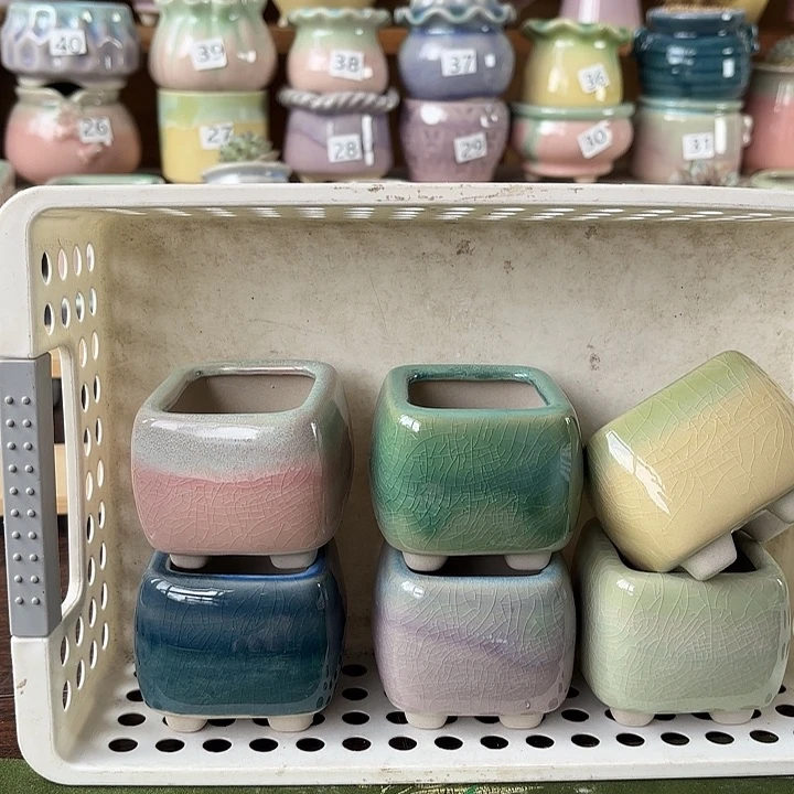 红陶量货/口高深浅搭配发6