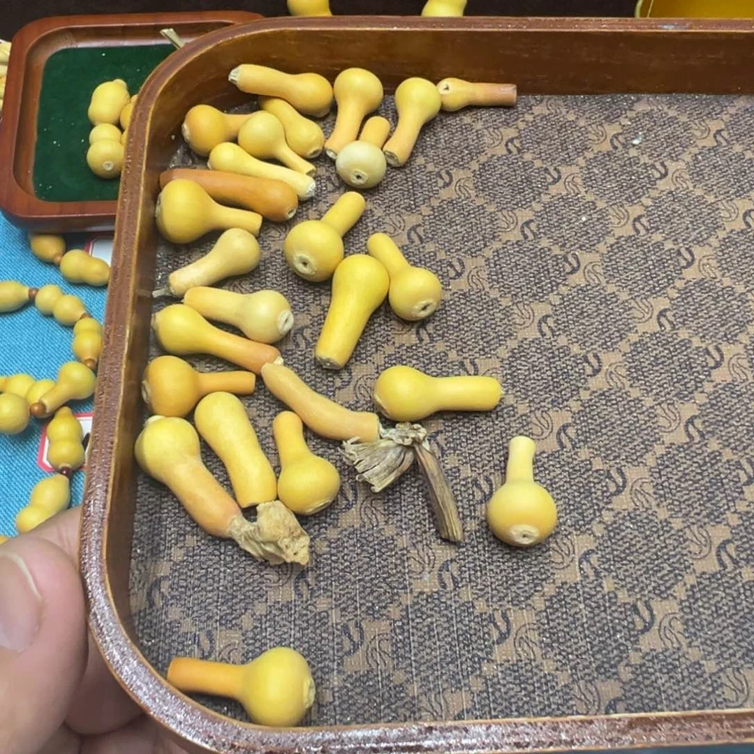 T***o草里金小独霸25颗草里金