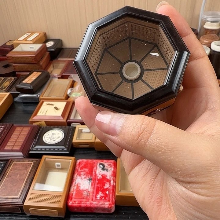 上海行还有一天盒子送水塔