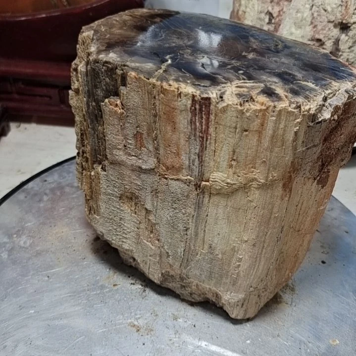 会***y石材新疆奇台硅化木 木化石，树化石，树化玉。i