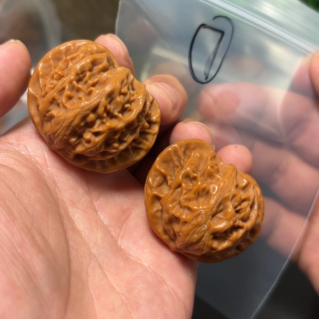 核桃其他宫灯狮子得