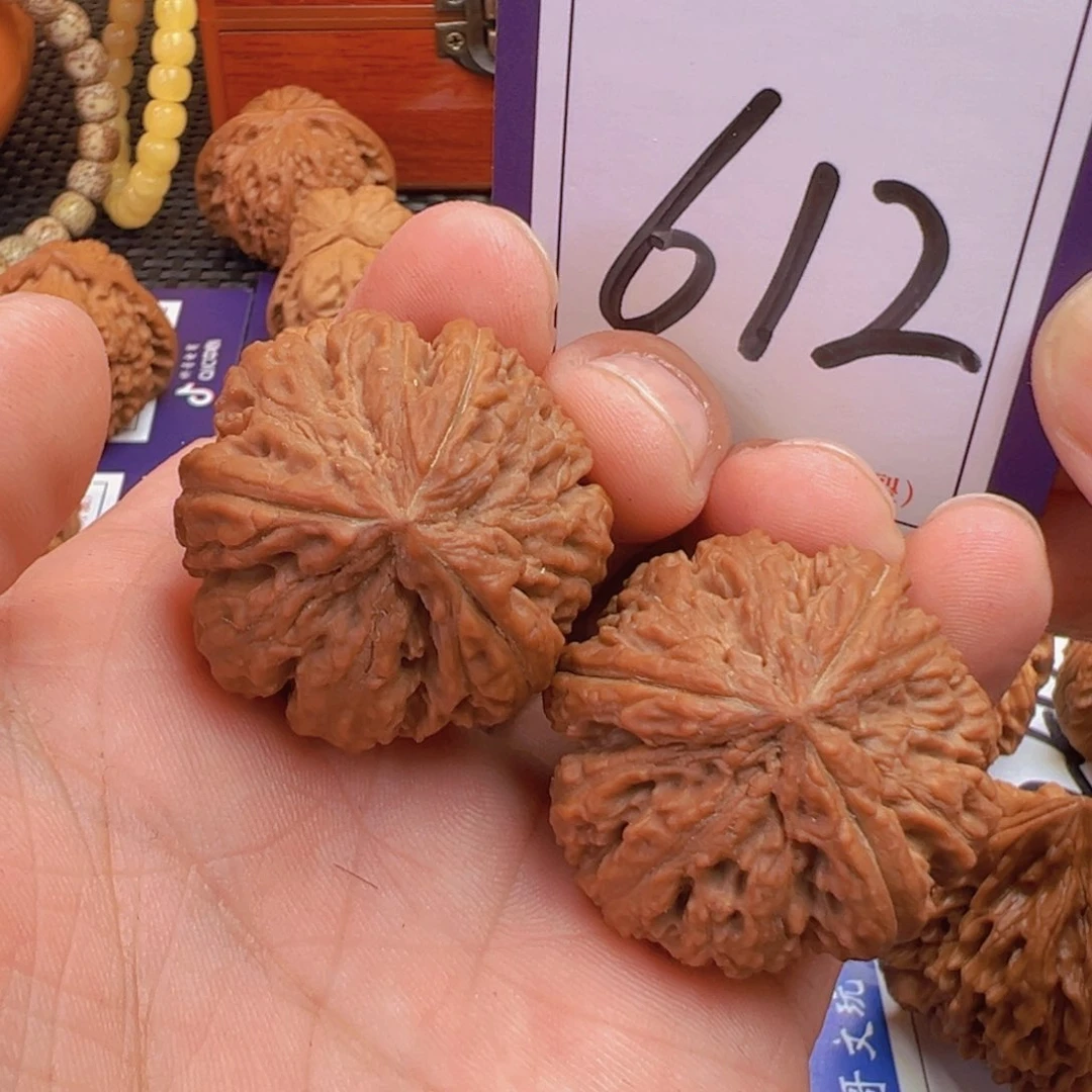 文玩核桃把件全品霸王龙三棱奔34尺寸612号