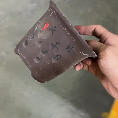 ····全是福利····
