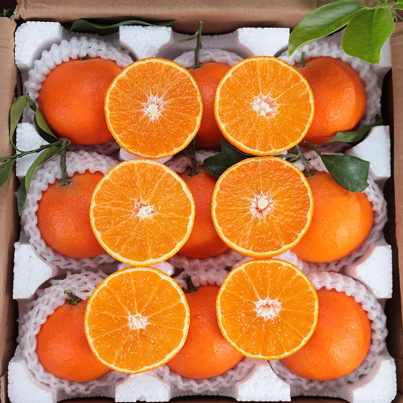 （文文邹果冻橙）四川眉山爱媛38号果冻橙手剥甜橙子皮薄香甜新鲜