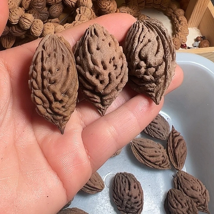 你***狸桃核手串正宗桃枭单核