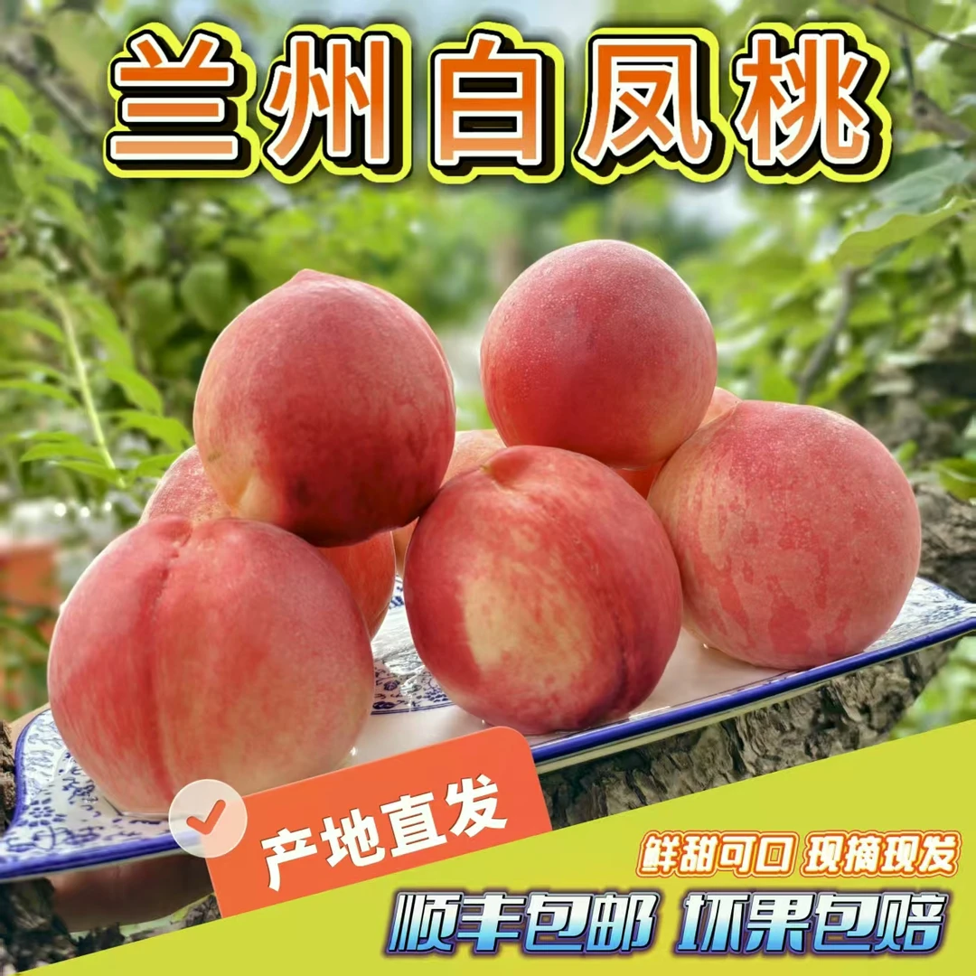 [兰州市内专享] 兰州什川白凤桃 12枚礼盒装 中果实惠装 顺丰包邮
