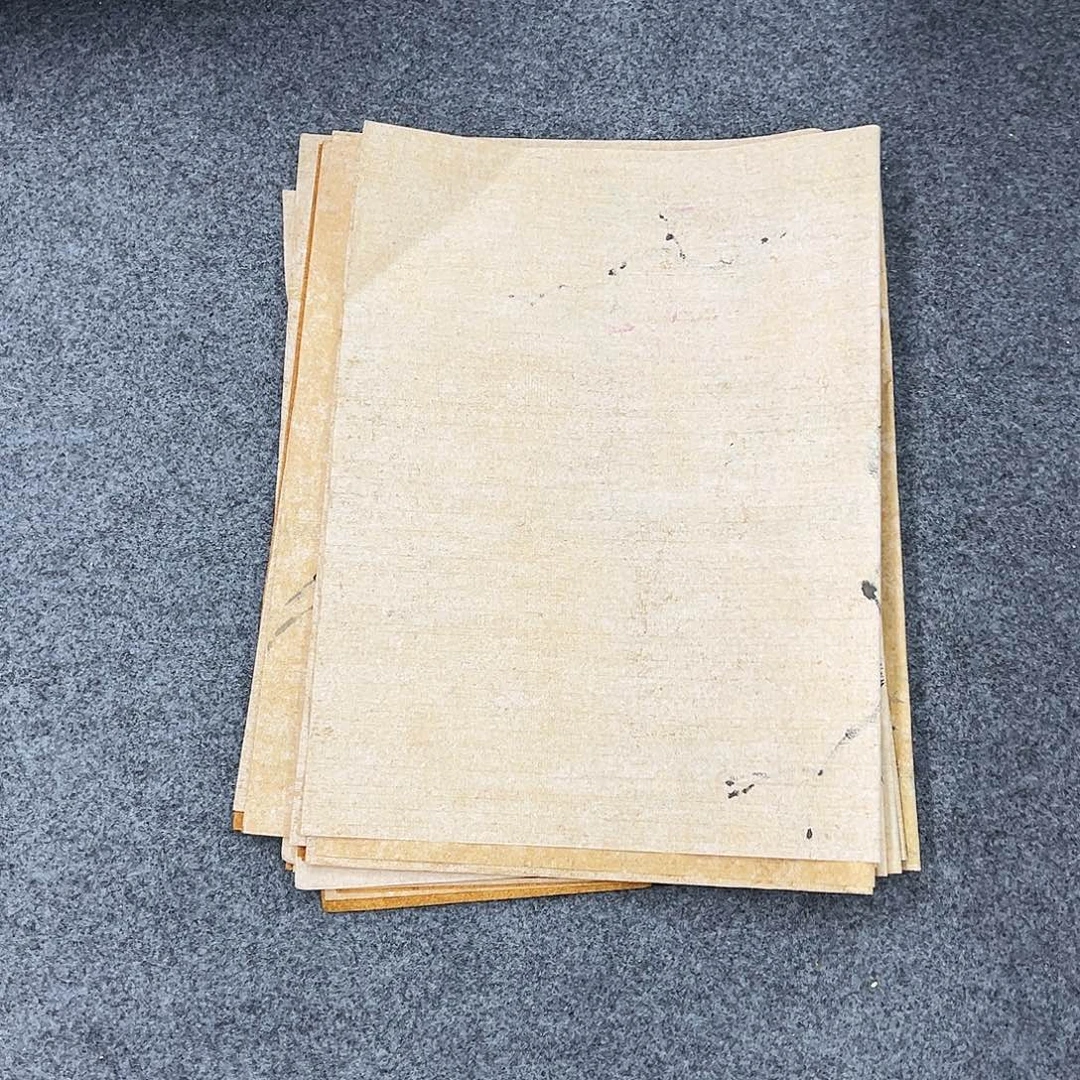 国画纯手绘作品欣赏