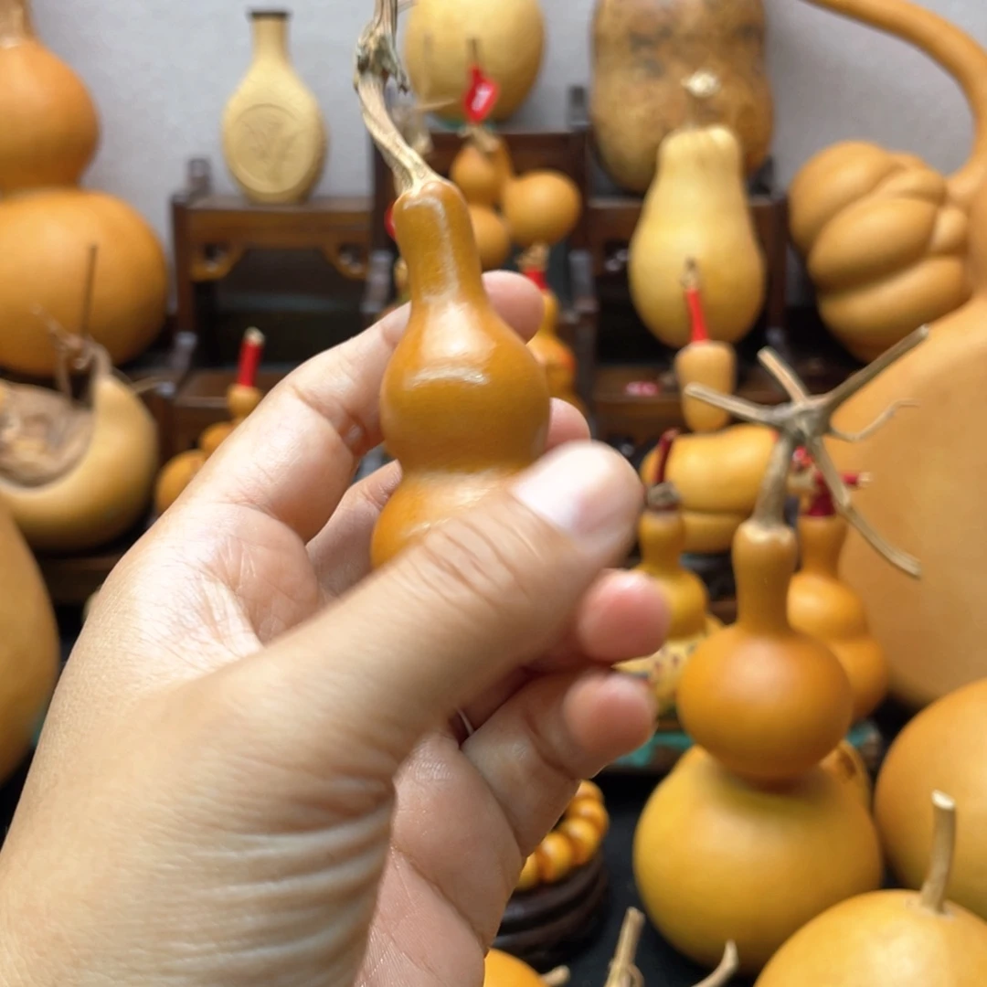 爱***哥大自然的秘密第十一章第一