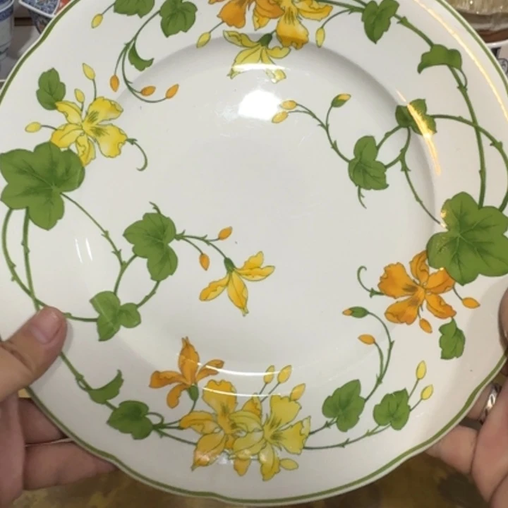 陶瓷推荐第二名20包邮