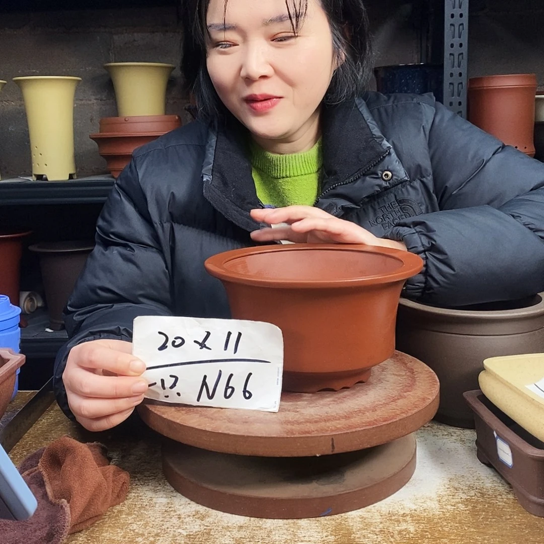 紫砂紫砂花盆一只N66