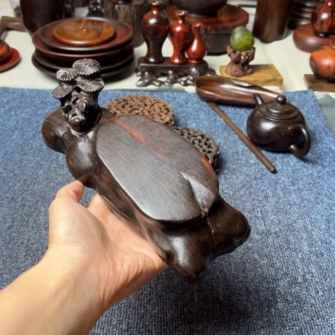 交趾黄檀0000000000