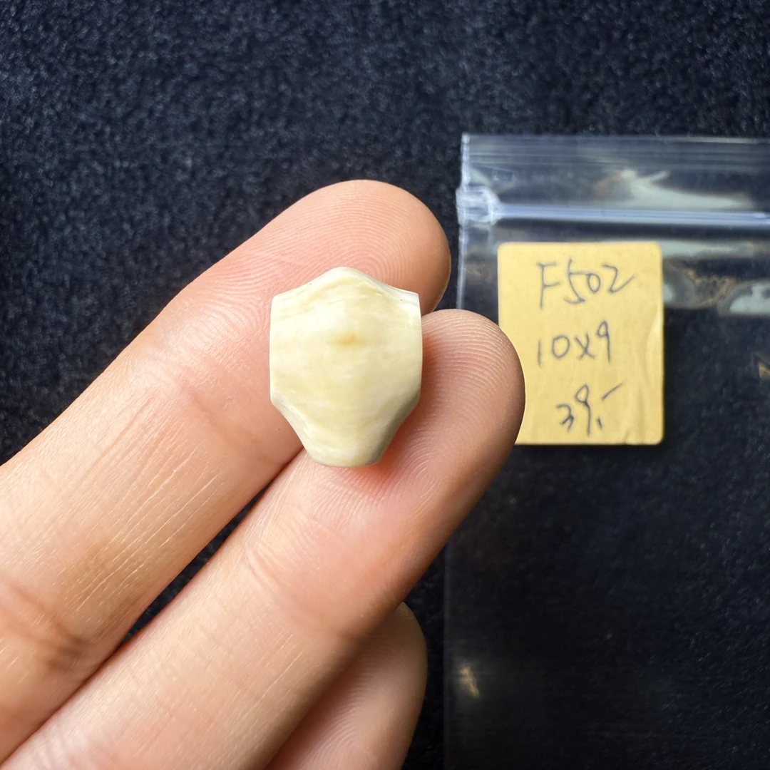 F502猛犸象牙鲨鱼背三通尺寸10*9mm果冻料