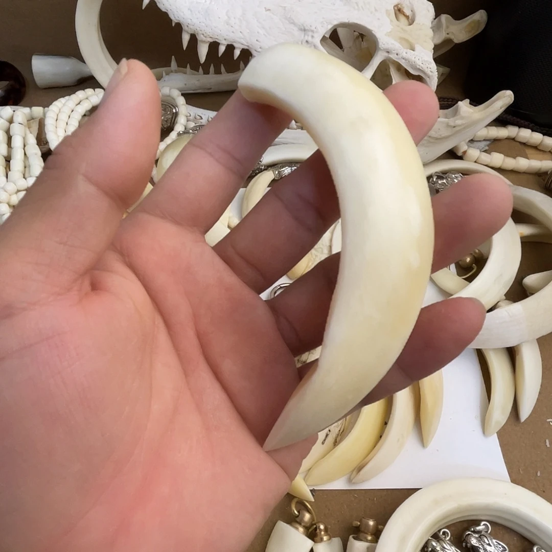 猪牙把件猪牙獠牙