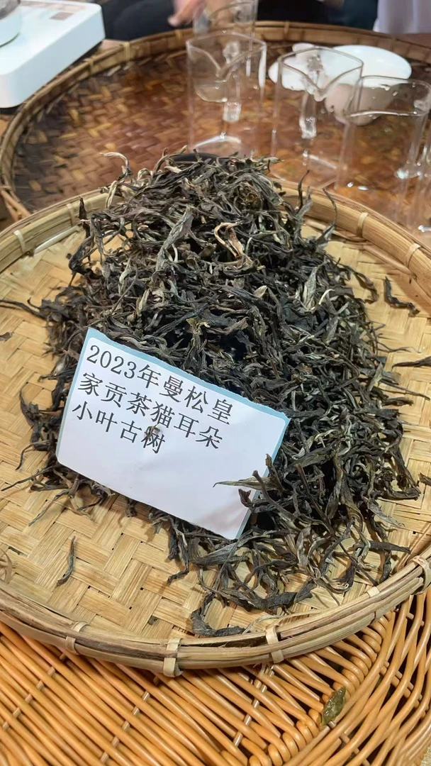 古树散茶23年曼松皇家贡茶猫耳朵小叶古树far 66SFi0828XT-777