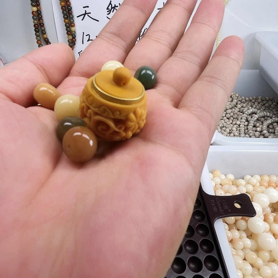 把件菩提根/象牙果