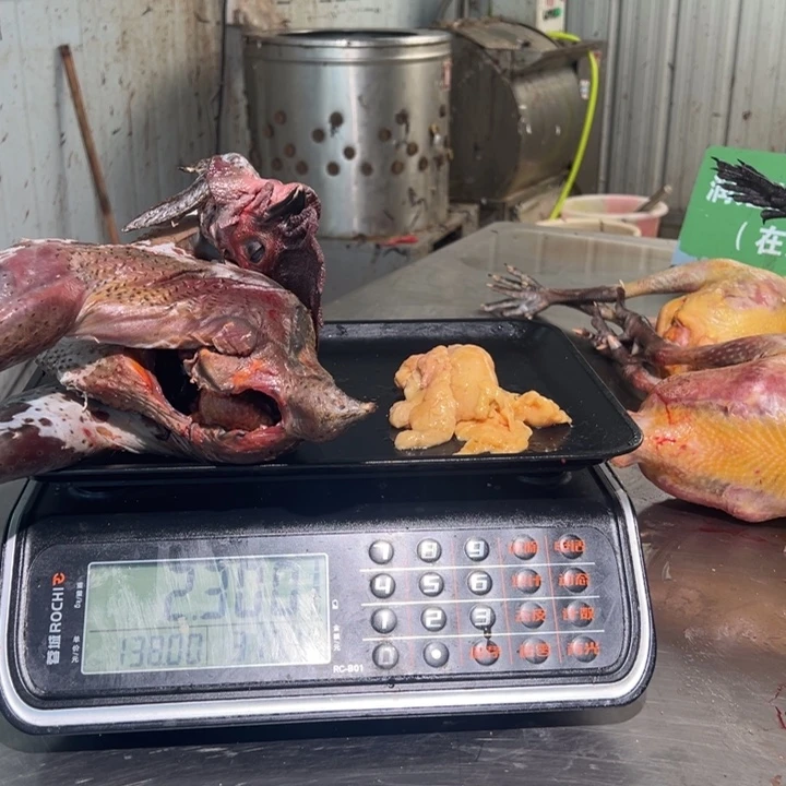 一号土鸡食用农产品招**猫