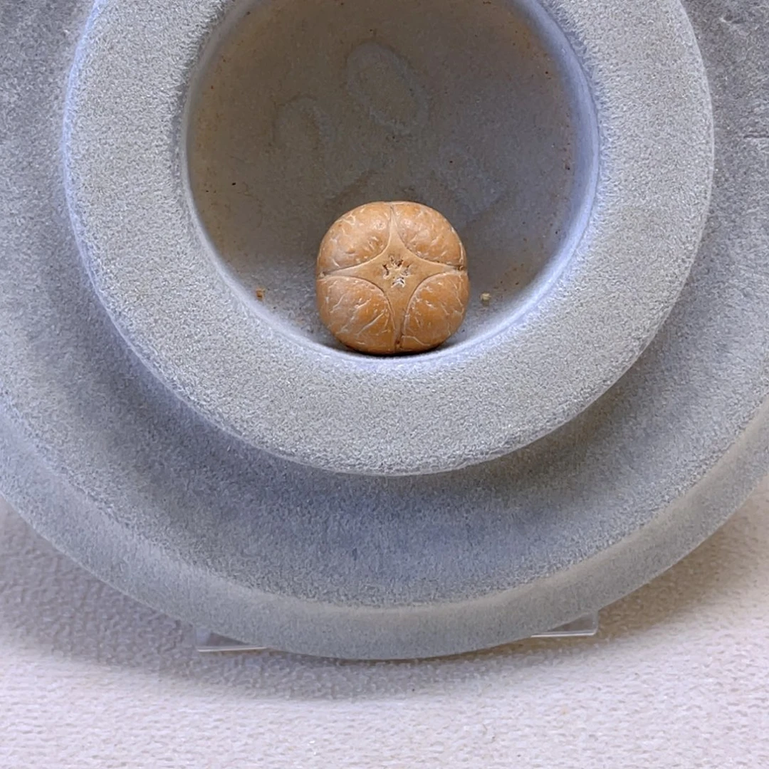 吊坠麒麟眼菩提7@3558，16.8➕