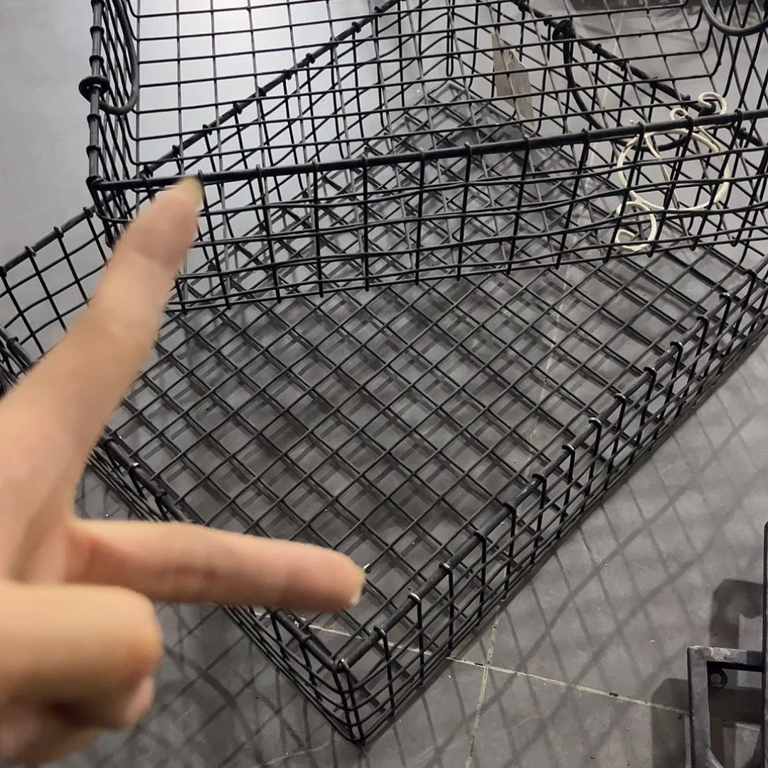 炸炸炸炸炸炸炸炸炸给力