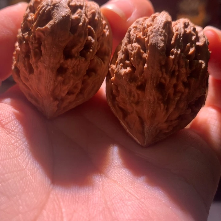 吊坠文玩核桃楸玥核6