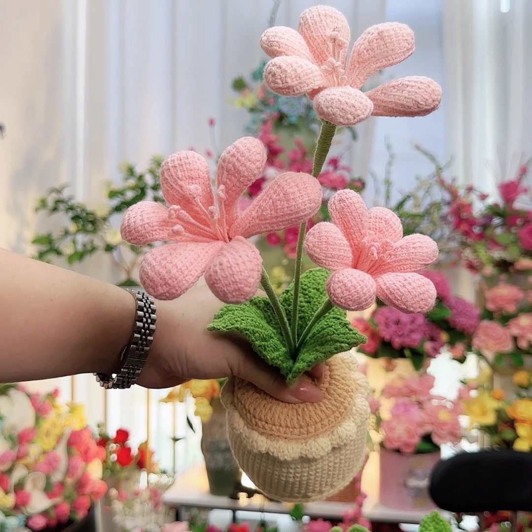 莱赛尔纤维棉手工钩织君子兰盆栽