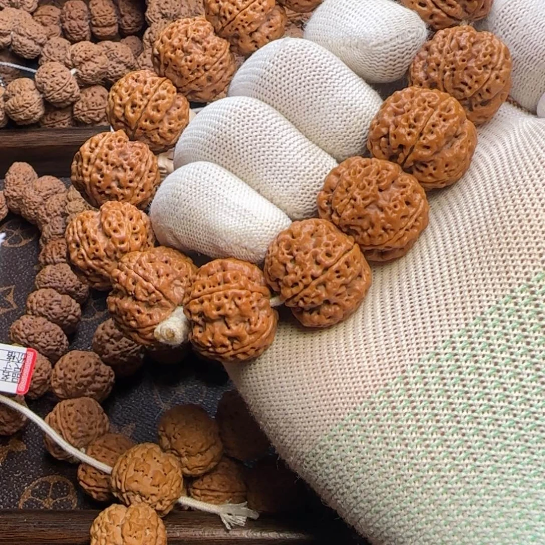 菩提金刚菩提24满肉深沟