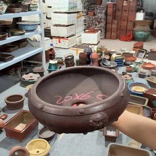 紫砂花盆宜兴紫荆