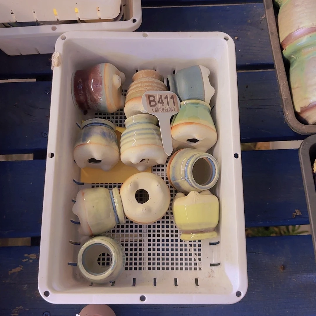 兔*嬷一个盆一物一拍1111