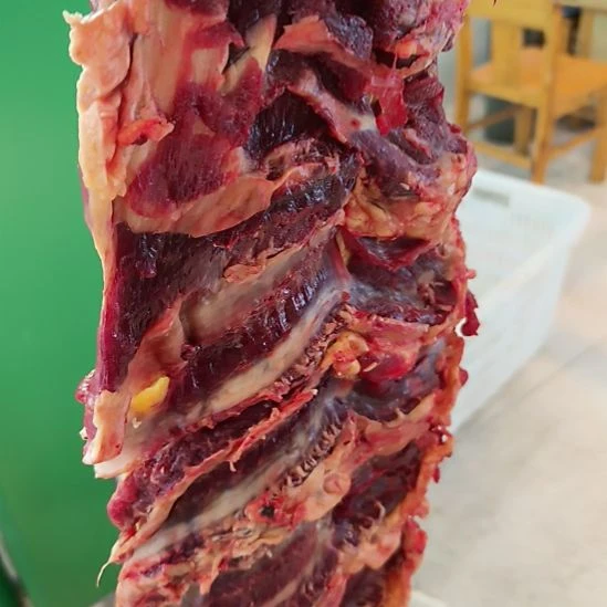 7哈哈哈哈哈哈哈哈哈哈