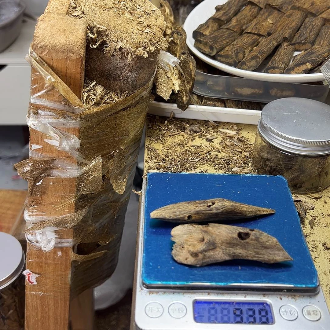 香料绿奇楠虫漏9克白棋纯虫