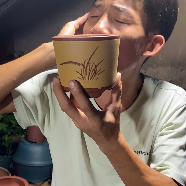 紫砂紫砂紫砂紫砂