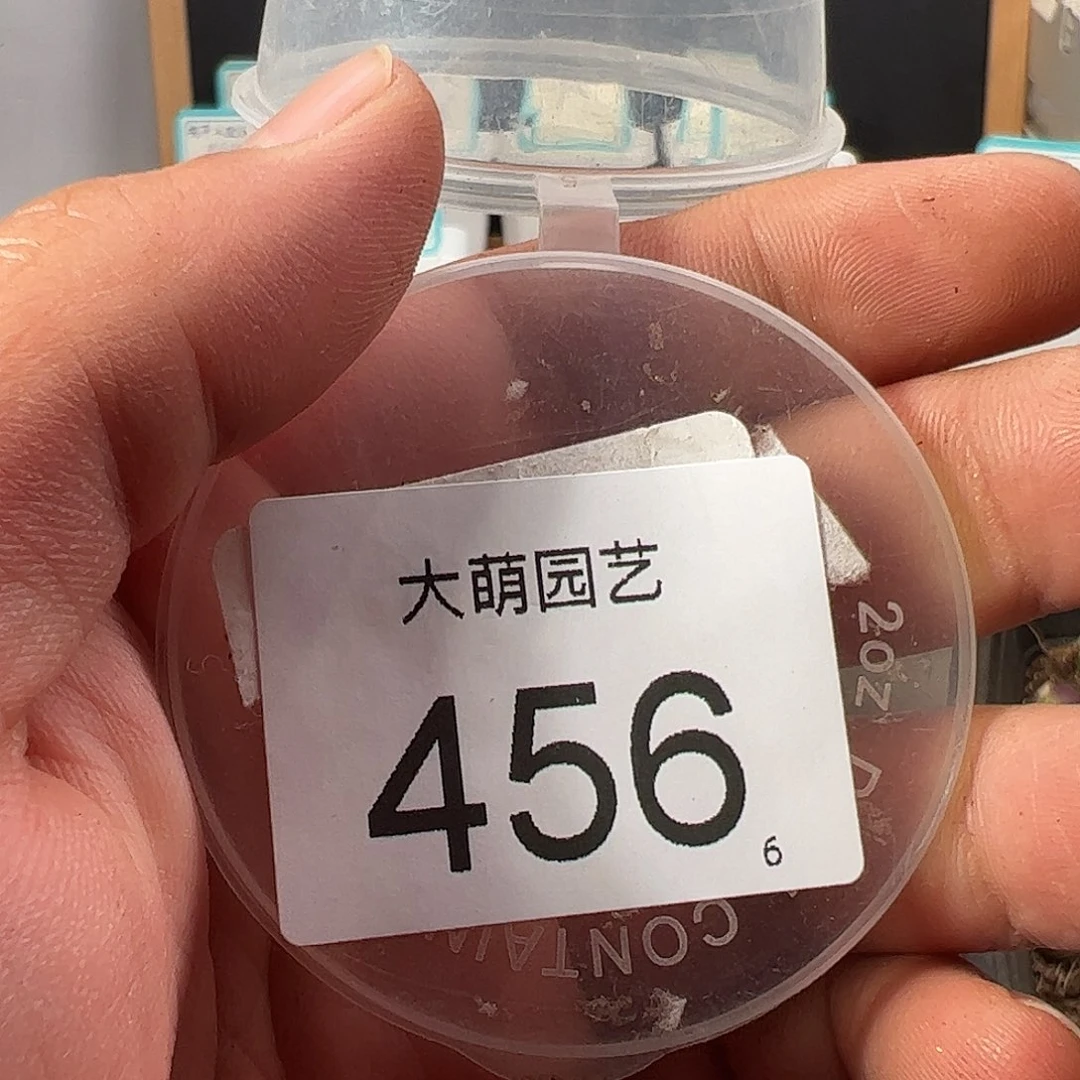 如***道0000456 一物一拍……