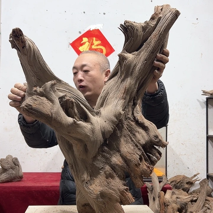 柏木杨**e我们的生活也是如此