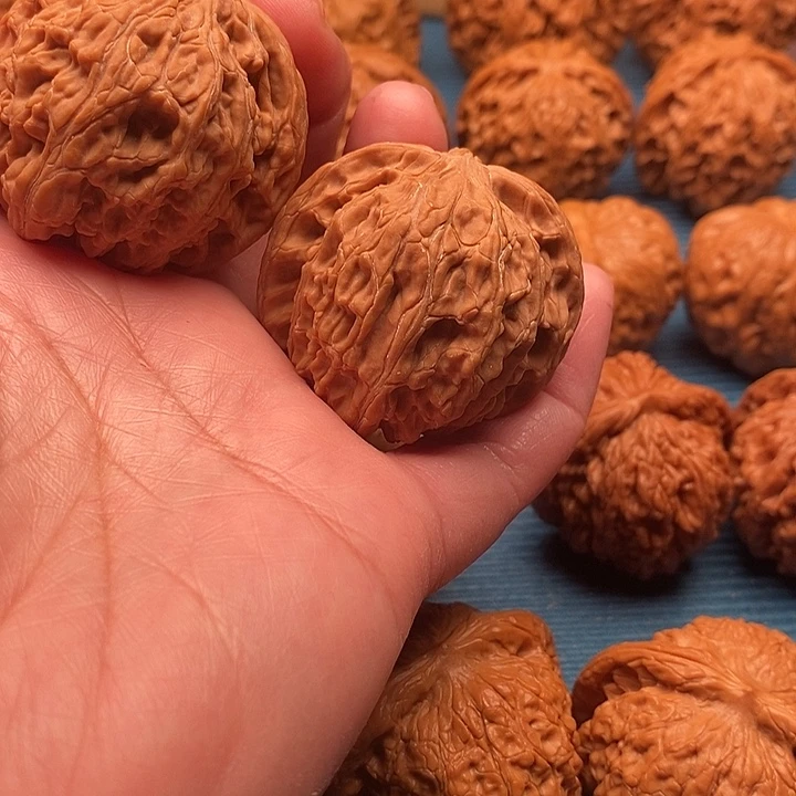 嘉***饰白狮子练手对8888