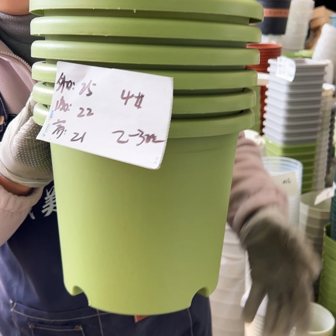 四季盆4#果绿色8个无托